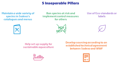 Sodexo 5 Inseparable Pillars Infographics 