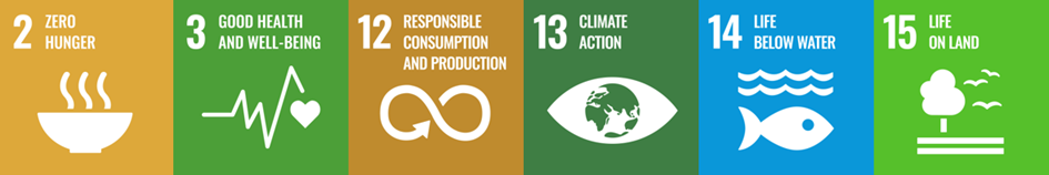 Image showing UN Sustainable Goals